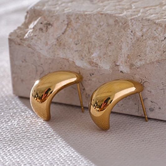 Arc-shaped Earrings
